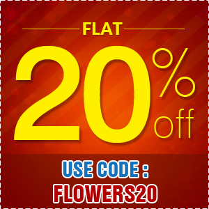 Deals | Get flat 20% off on beautiful flowers