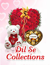 Dil Se Collections