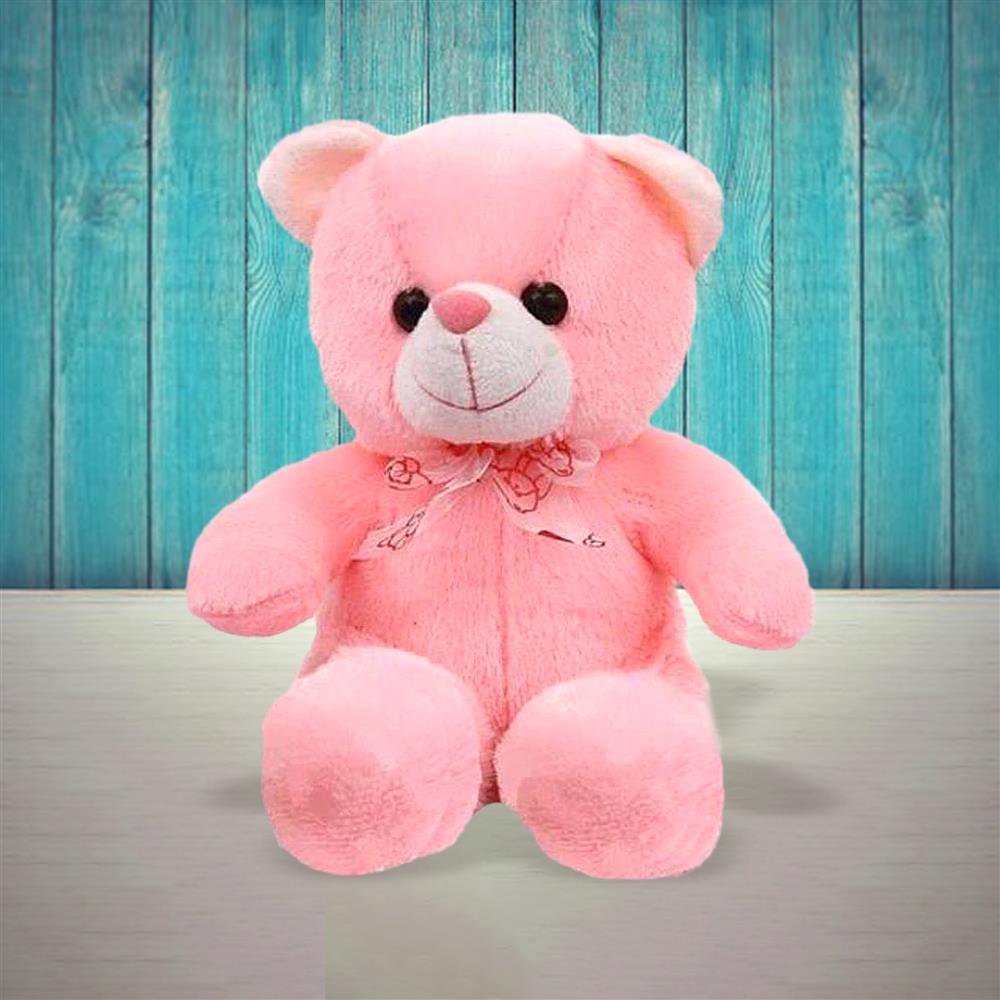teddy delivery