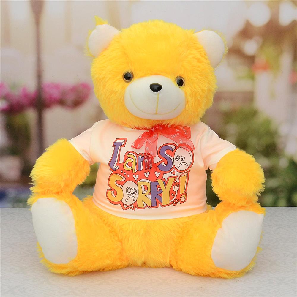 I Am So Sorry Yellow Teddy Valentine Hamper Her I Am So Sorry Yellow Teddy Valentine Hamper Her