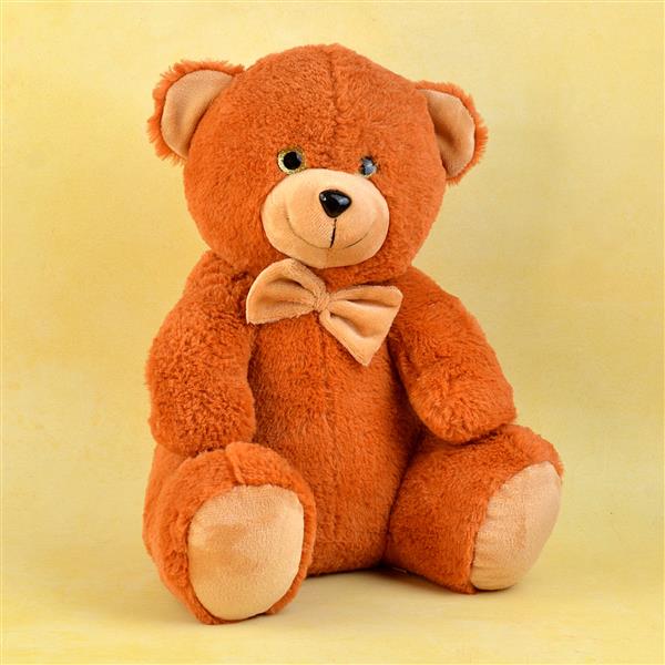 valentine's day delivery teddy bear
