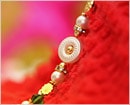 Features to look for in an Online Rakhi Store