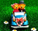 Couple Teddy Newly Wed Front