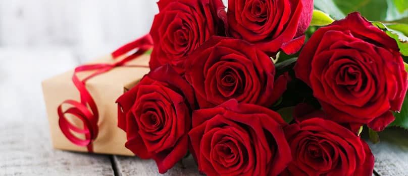 Significance of Red Roses on Valentine's Day Significance of Red Roses on Valentine's Day
