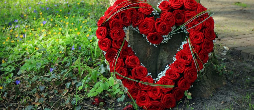 Send flowers on Valentine’s Day