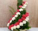 Independence Day Flowers