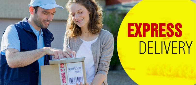 Delivers Same Day to 100+ cities in India Delivers Same Day to 100+ cities in India