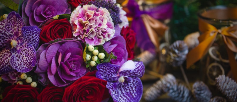 Purple Flower Rose Fern Purple Flower Rose Fern