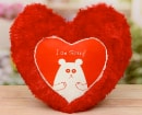 Red Heart Cushion Hug Kitty