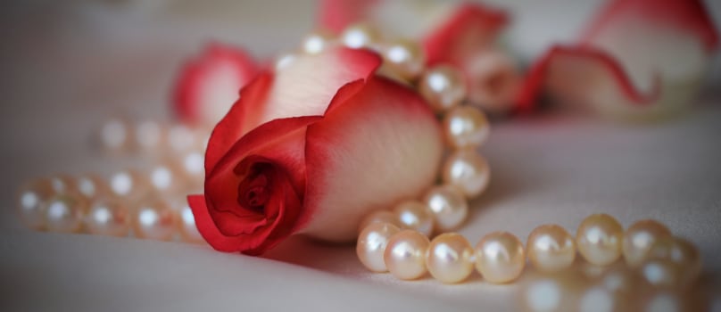 Red White Bicolour Rose Pearl String Red White Bicolour Rose Pearl String