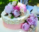 Rich Colour Flower Cake
