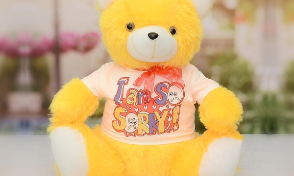 sorry with teddy