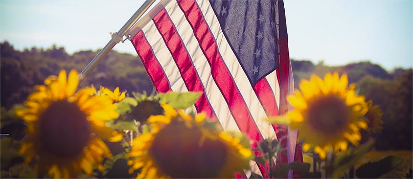 How to send Flowers to India from USA How to send Flowers to India from USA