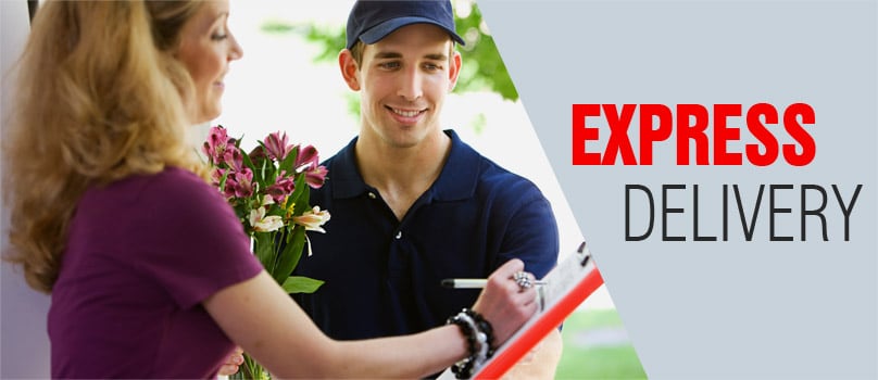 express delivery service to India express delivery service to India