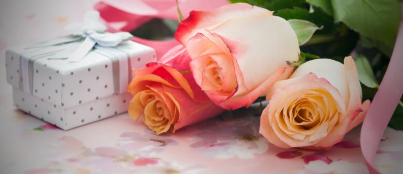 Yellow Pink Rose White Gift Box Yellow Pink Rose White Gift Box