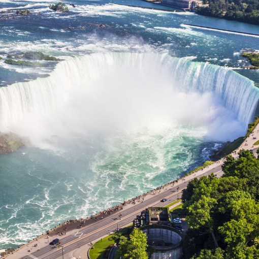 Gift to India from Canada