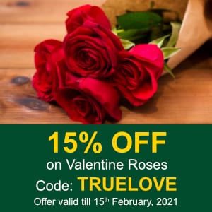 Deals | 15% Off on Valentine Roses