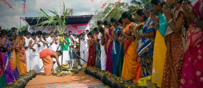 Priest Worshipping Devotees Onlooking Pongal Priest Worshipping Devotees Onlooking Pongal