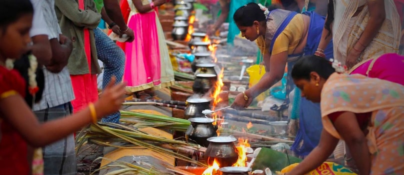 Series Women Cooking Pongal Series Women Cooking Pongal